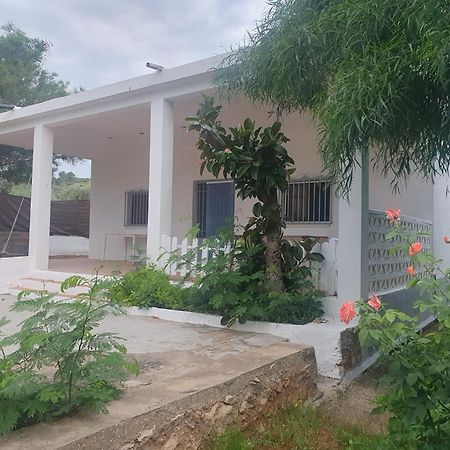 Casa Campo Con Piscina Y Barbacoa Para 6 Personas En Plena Naturaleza Picassent Ngoại thất bức ảnh