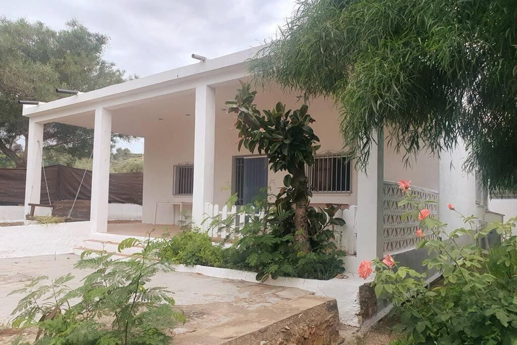 Casa Campo Con Piscina Y Barbacoa Para 6 Personas En Plena Naturaleza Picassent Ngoại thất bức ảnh
