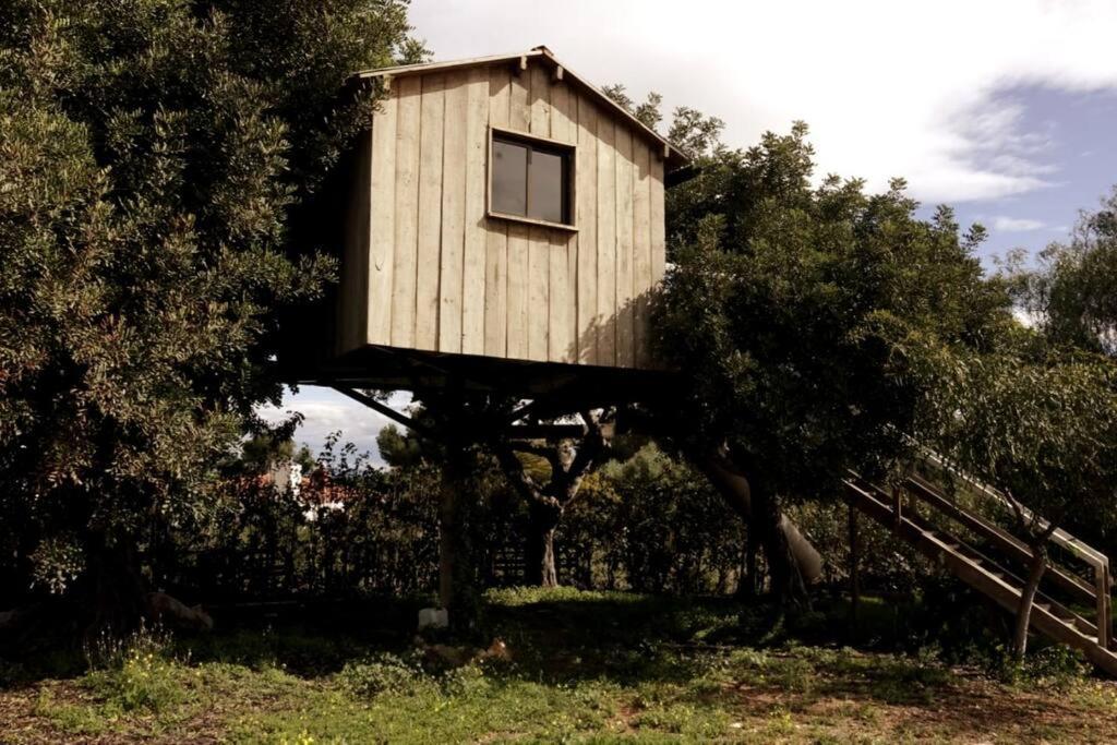 Casa Campo Con Piscina Y Barbacoa Para 6 Personas En Plena Naturaleza Picassent Ngoại thất bức ảnh