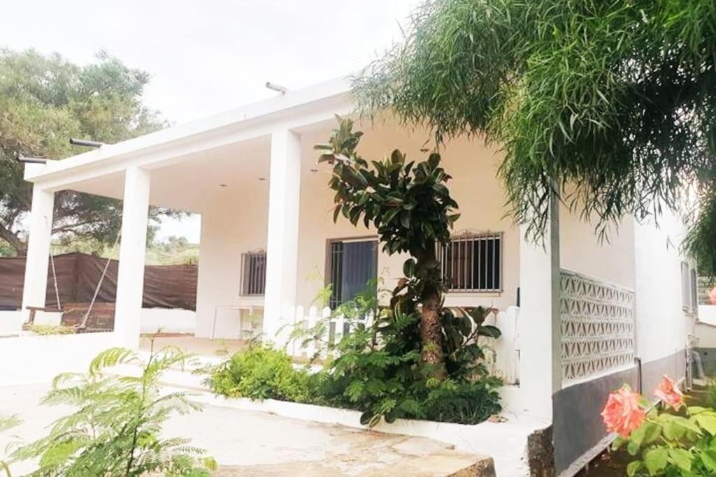 Casa Campo Con Piscina Y Barbacoa Para 6 Personas En Plena Naturaleza Picassent Ngoại thất bức ảnh
